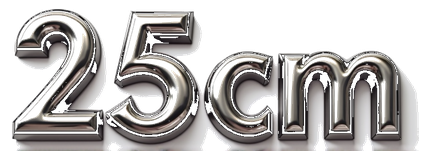 25cm logo